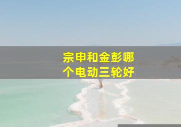 宗申和金彭哪个电动三轮好