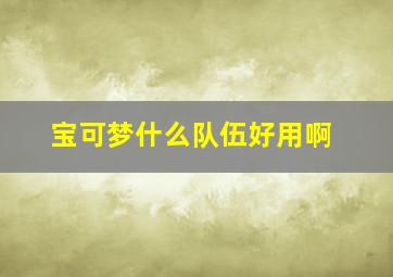 宝可梦什么队伍好用啊