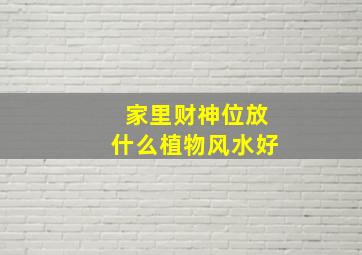 家里财神位放什么植物风水好