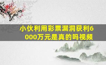 小伙利用彩票漏洞获利6000万元是真的吗视频