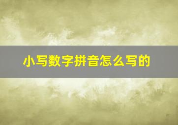 小写数字拼音怎么写的