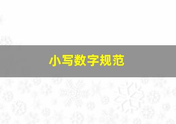 小写数字规范