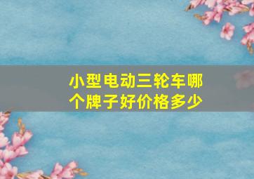 小型电动三轮车哪个牌子好价格多少