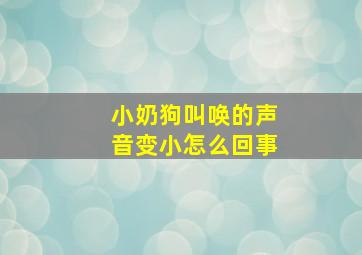 小奶狗叫唤的声音变小怎么回事