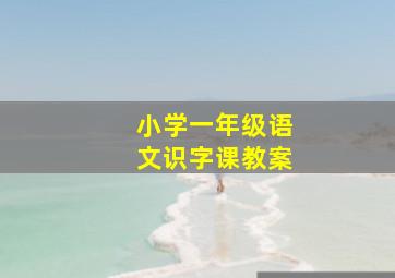 小学一年级语文识字课教案