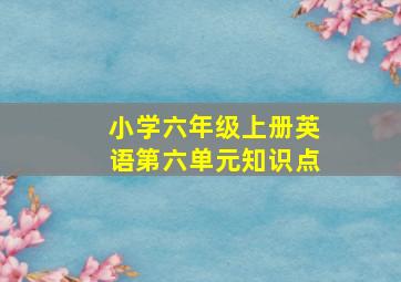 小学六年级上册英语第六单元知识点