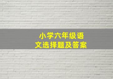 小学六年级语文选择题及答案