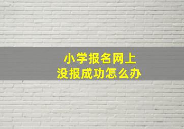 小学报名网上没报成功怎么办