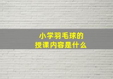 小学羽毛球的授课内容是什么