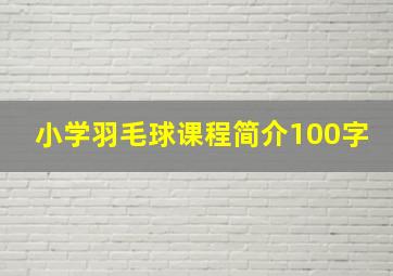 小学羽毛球课程简介100字