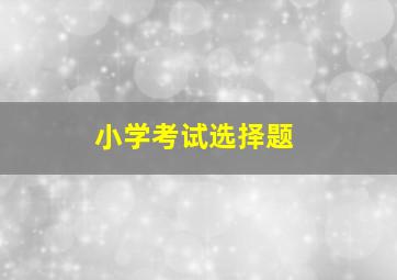 小学考试选择题