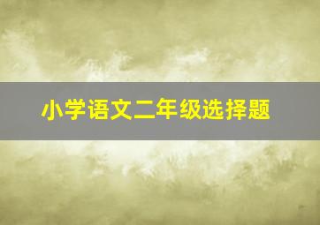 小学语文二年级选择题