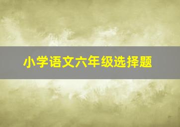 小学语文六年级选择题