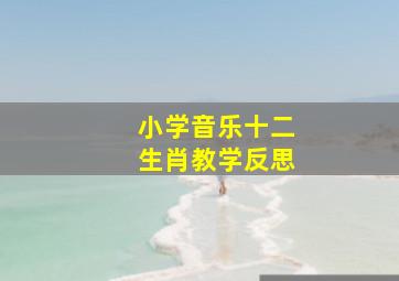 小学音乐十二生肖教学反思