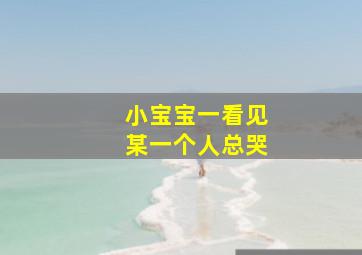 小宝宝一看见某一个人总哭