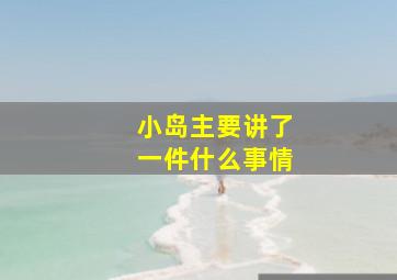 小岛主要讲了一件什么事情