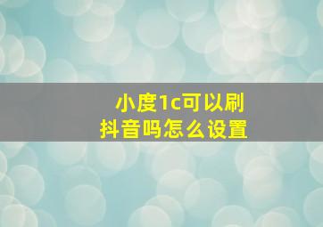 小度1c可以刷抖音吗怎么设置