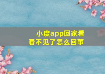 小度app回家看看不见了怎么回事