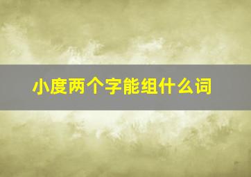 小度两个字能组什么词