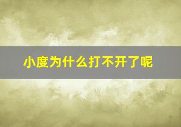 小度为什么打不开了呢