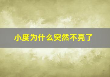 小度为什么突然不亮了