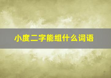 小度二字能组什么词语