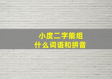 小度二字能组什么词语和拼音