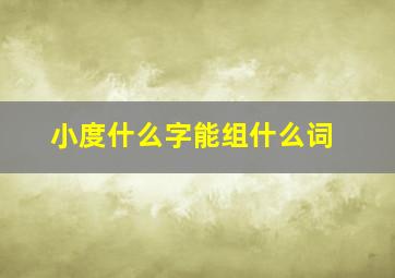 小度什么字能组什么词