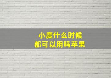 小度什么时候都可以用吗苹果