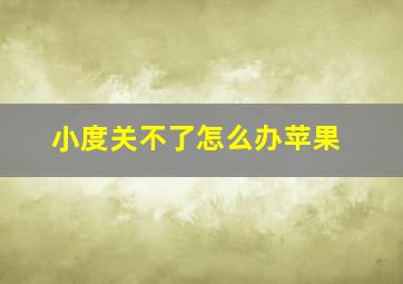 小度关不了怎么办苹果