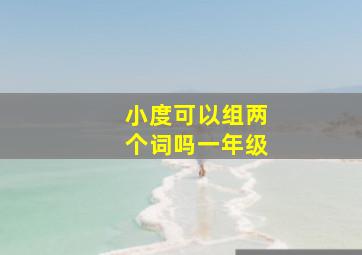 小度可以组两个词吗一年级