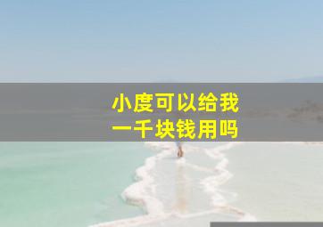 小度可以给我一千块钱用吗