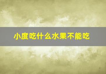 小度吃什么水果不能吃