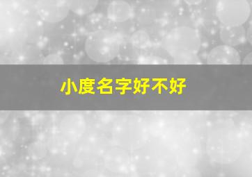 小度名字好不好