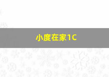 小度在家1C