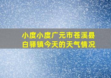 小度小度广元市苍溪县白驿镇今天的天气情况