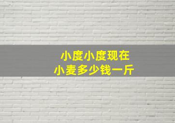 小度小度现在小麦多少钱一斤