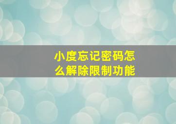 小度忘记密码怎么解除限制功能