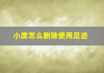 小度怎么删除使用足迹