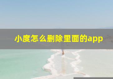 小度怎么删除里面的app