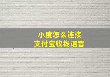 小度怎么连接支付宝收钱语音