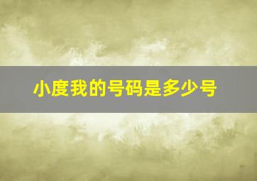 小度我的号码是多少号