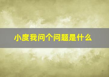 小度我问个问题是什么