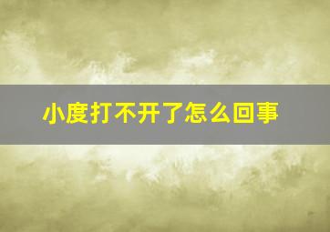 小度打不开了怎么回事