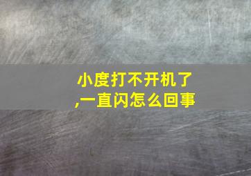 小度打不开机了,一直闪怎么回事