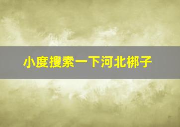 小度搜索一下河北梆子