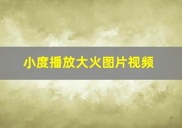 小度播放大火图片视频