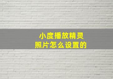 小度播放精灵照片怎么设置的