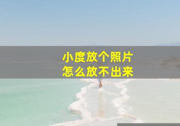 小度放个照片怎么放不出来