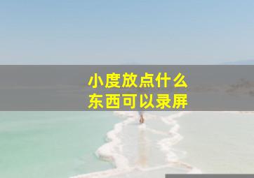 小度放点什么东西可以录屏